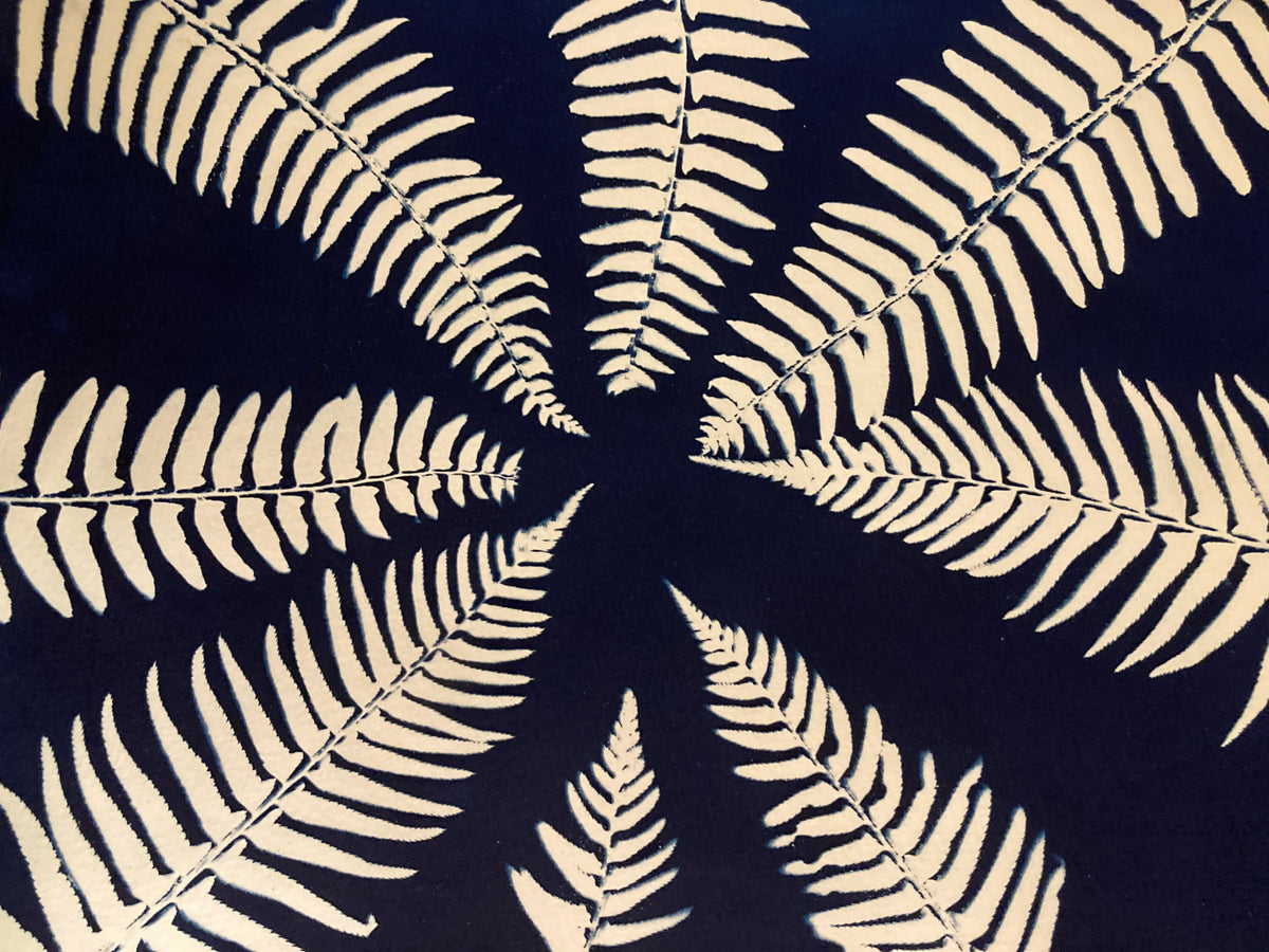 6. Fern Mandala