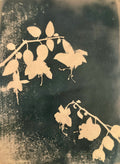 7. Fuchsia Branches